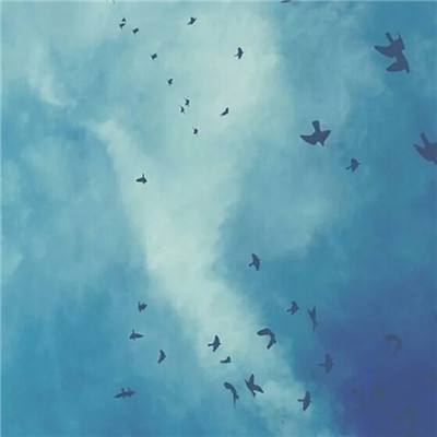 北京pk赛车app官网下载安装