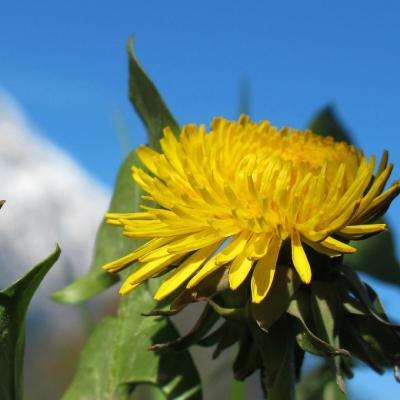 皇冠正规娱乐平台app下载