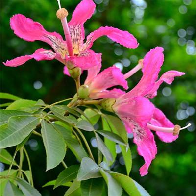 万博(ManBetx)app下载